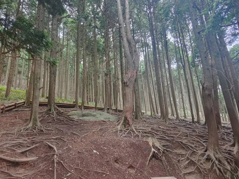 庐山 · 08