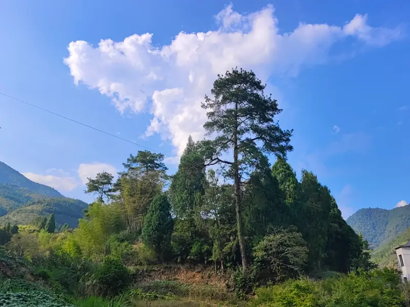 三清山 · 30