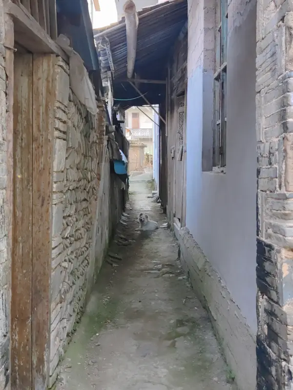 三清山 · 31