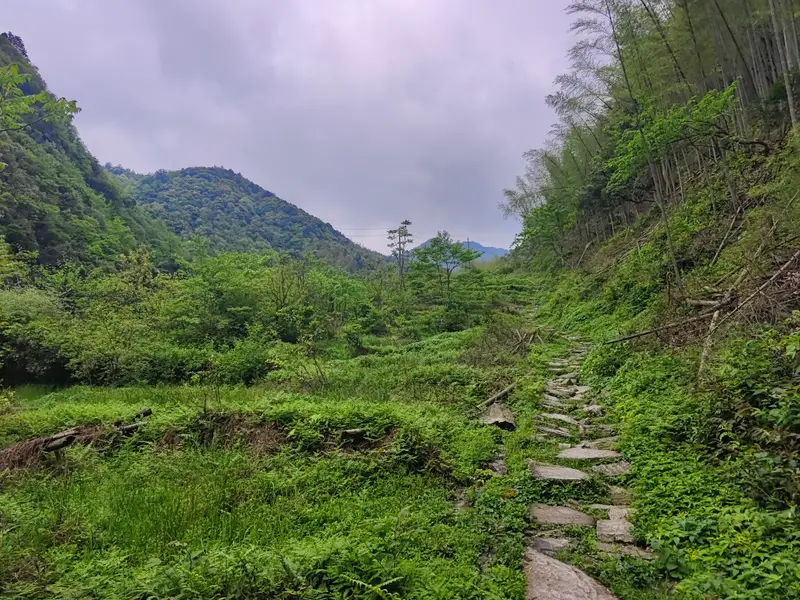 武功山沈明线 · 02
