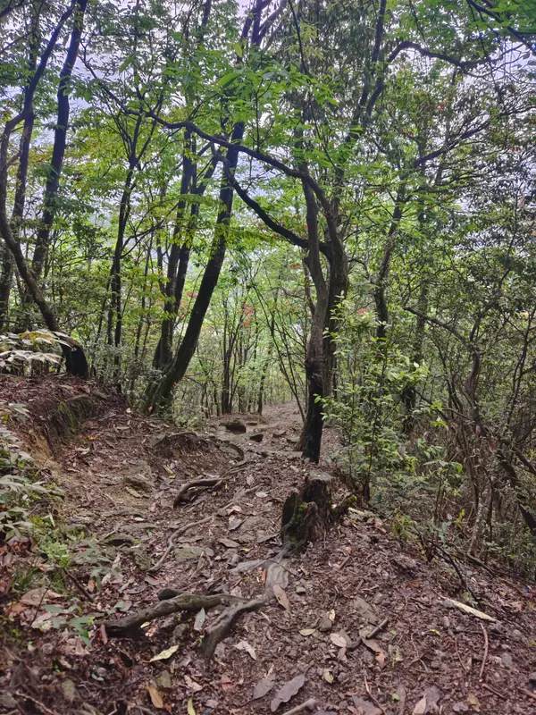 武功山沈明线 · 03